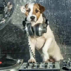 DJ Scoutbear