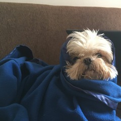 ROCIO FERNANDEZ BARTHOLIN