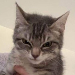 ben