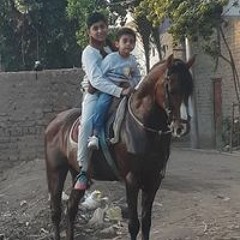 Youssef Khlaed