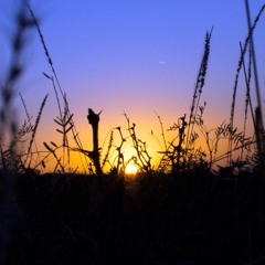 MEErim