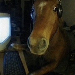 Niilo22
