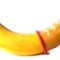 EroticBananaz