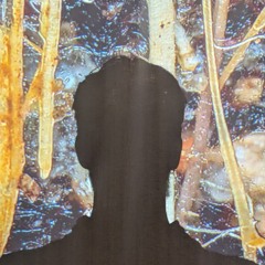 Soil Bioacoustics