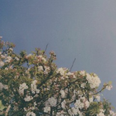 ⚡️☣️JUNGBAD☣️⚡️