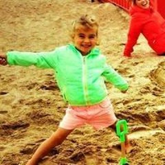 Geert Van den Bossche