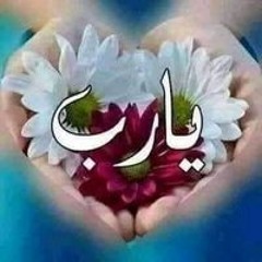 Amira Abo Elmagd