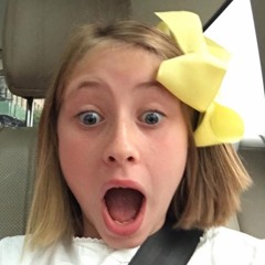 cvntyhibiscus