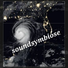 SoundSymbiose