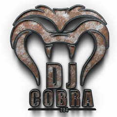 dj cobra 254