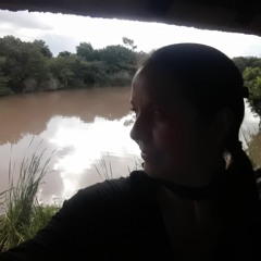 Brenda Ann Basson
