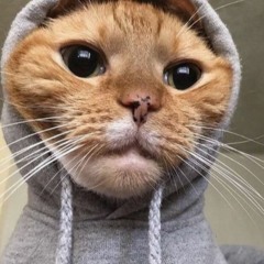 Vijgenmattie