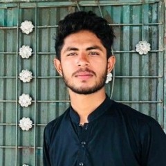 Hassnain ahmad ahmad