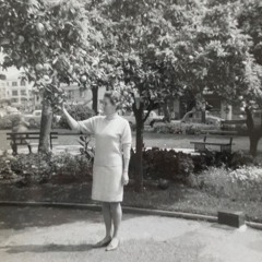 saga charlotte