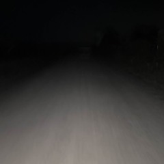 Why wont you linger?