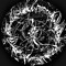 AFTERVOLTER :ARC/SECT