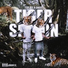 Tiger Striped Recordings