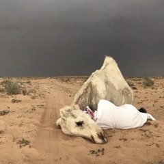 ٨.