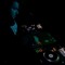 FatFrequency