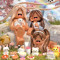 User 381388168