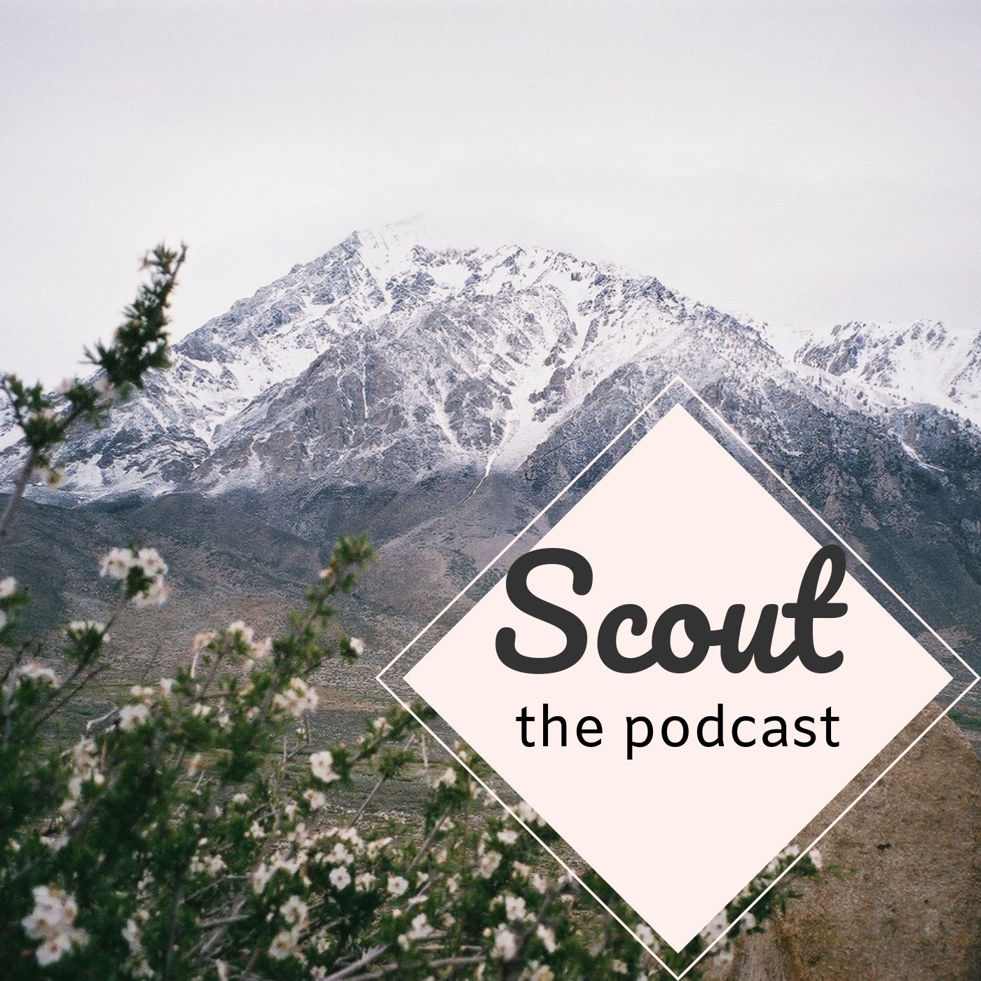 Episode 6: Humboldt Honey Wine; A Beekeeper's Take On Bee Colony Collapse