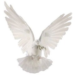 d̸̻̗̔̄o̴̰͖͛͂́ve𖣂