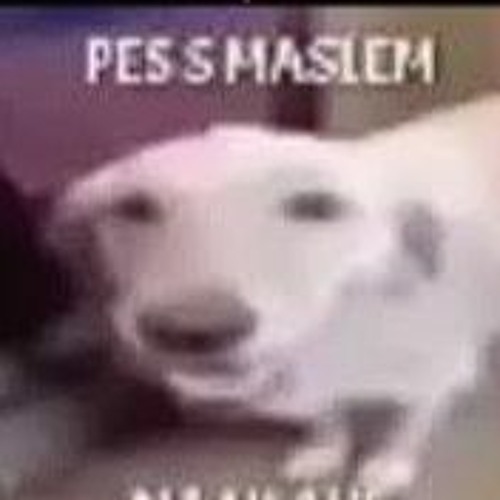 Steve Sniff a Skelly - unreleased