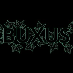 Buxus