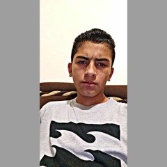 Sebastian Mena