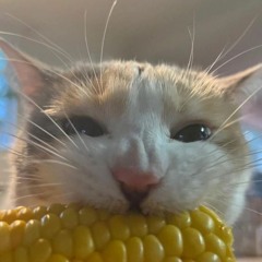 ike🐱