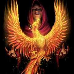 Phoenix Rising