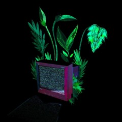 INYX