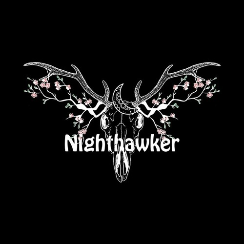 Nighthawker’s avatar