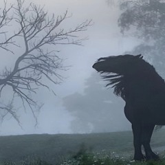 𝕯𝖛𝖗𝖝𝖉𝖆