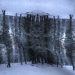 snowed*in