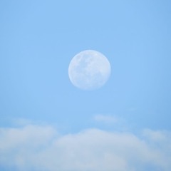 Living Life To The Fullest Joy