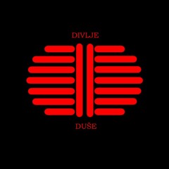 Divlje Duše