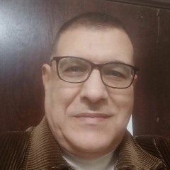 السعيد هويدى