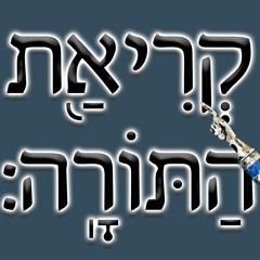 נועם אפל