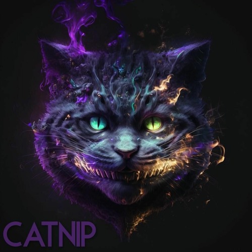 CATNIP’s avatar