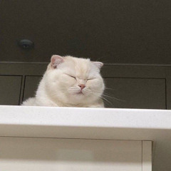 조수아