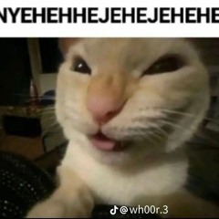 miếng sườn to oành