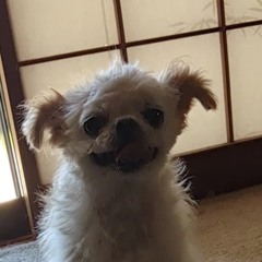 まさ