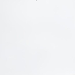 ⋆
