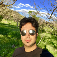 mohamad movahed