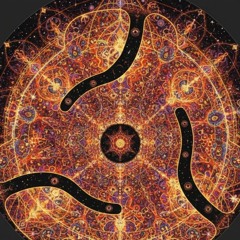 questionable buttons.