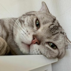 Tuấn Nghĩa