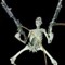 random skelly