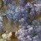 Cxnna