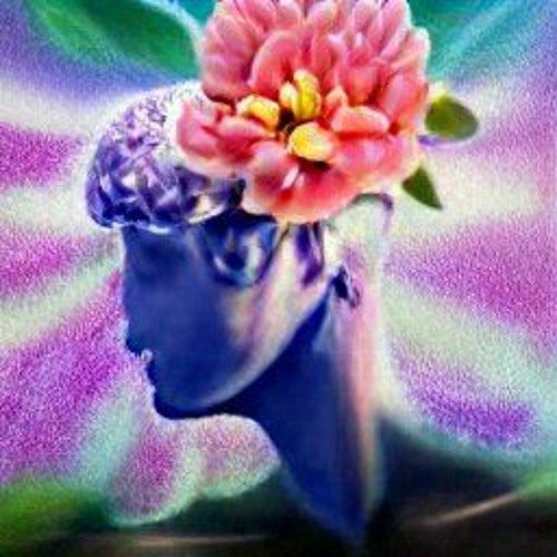 feed the mind flower’s avatar